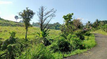 Gambar 5 Tanah SHM pinggir jln kabupaten di puncak cisarua