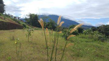 Gambar 1 Jual Tanah 500m² di jln waru doyong alternatif puncak Cisarua 