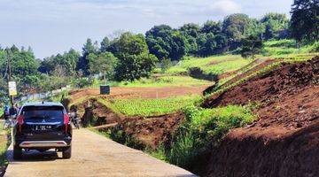 Gambar 3 Tanah 5000m² dijual di jln waru doyong Megamendung puncak bogor