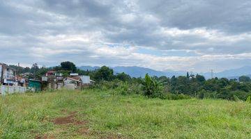 Gambar 4 Tanah Luas di Sukaraja Gunung Geulis, Bogor SHM 1 Ha