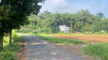 Gambar 3 Tanah Datar View Gunung di Palasari Cijeruk, Bogor SHM 5.500 m²