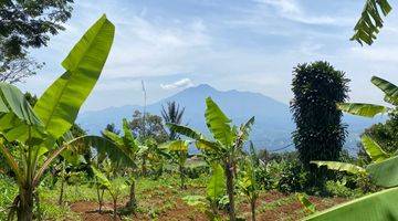 Gambar 3 Tanah Murah di Cisalada Cigombong, Bogor 5.600 m²