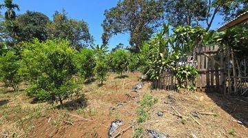 Gambar 3 Tanah Kebun di Cugenang Padaluyu, Cianjur SHM 2.218 m²