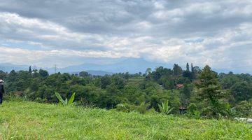 Gambar 3 Tanah Luas di Sukaraja Gunung Geulis, Bogor SHM 1 Ha