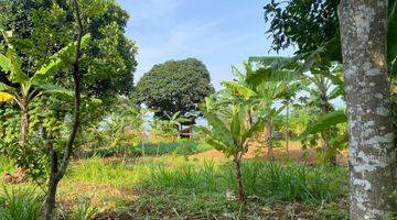 Gambar 1 Tanah Murah View Gunung di Tajur Halang Cijeruk, Bogor 2.280 m²