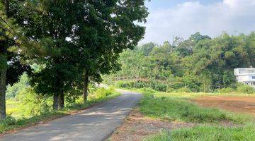 Gambar 5 Tanah Datar View Gunung di Palasari Cijeruk, Bogor SHM 5.500 m²