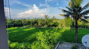 Gambar 4 Rumah 2 Lantai view sawah di Pering Gianyar