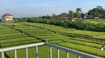 Gambar 2 Villa with ricefield view at Tumbak Bayuh Pererenan