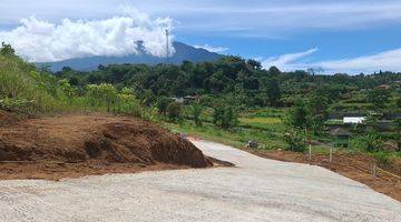 Gambar 4 Tanah 200 SHM m² di Puncak Cisarua Bogor Jawa Barat