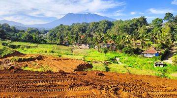 Gambar 1 Jual Tanah Murah Shm Dekat Wisata Di Puncak Bogor