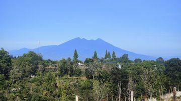 Gambar 5 Tanah 300 SHM m² di Puncak Bogor Jawa Barat