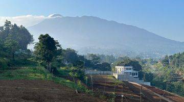 Gambar 3 Tanah 300 SHM m² di Puncak Bogor Jawa Barat