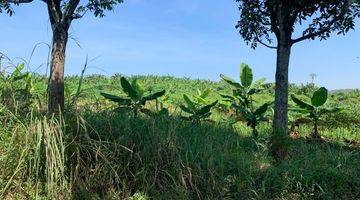 Gambar 3 Tanah Cianjur,cibinong Jawabarat Pas Tuk Tempat Wisata,perumahan 