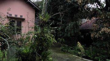 Gambar 1 Dijual Rumah Sederhana Dengan Kebun Yang Luas di Sariwangi 