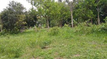 Gambar 1 Dijual Tanah Gunung Sindur Kab Bogor Lt 7745m2