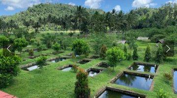 Gambar 3 Jual Cepat Tanah Dengan View Gunung Klabatdesa Pinilih Dimembe 