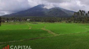 Gambar 4 Jual Cepat Tanah Dengan View Gunung Klabatdesa Pinilih Dimembe 