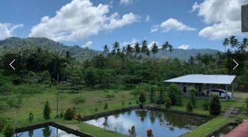 Gambar 5 Jual Cepat Tanah Dengan View Gunung Klabatdesa Pinilih Dimembe 