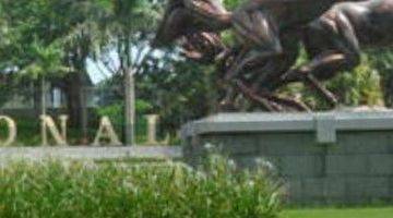 Gambar 1 Dijual Raya Bukit Golf International Citraland , 547m2, 18,5m