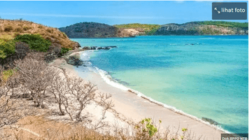 Gambar 4 Dijual Tanah di Kawasan Pantai Dondon Lombok Tengah