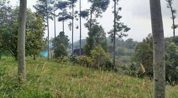 Gambar 4 Tanah View Bagus Cocok Untuk Villa Dan Camp Ground Di Cijeruk 