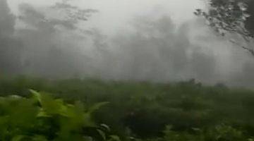 Gambar 1 Tanah SHM LT 7,1 Ha Murah Kebun Teh Bawang Wonosobo Dieng