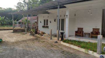 foto lainnya baru rumah cantik bisa bebas