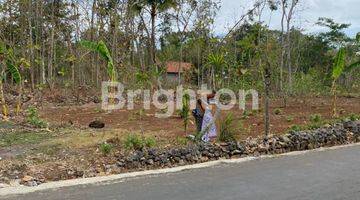 Gambar 3 TANAH KAVLING DI BEJIHARJO GUNUNGKIDUL