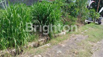 Gambar 2 Tanah Sawah Jalur Kuning Pajangan