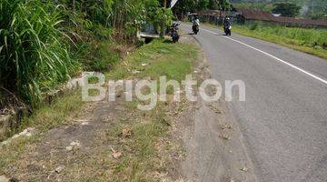 Gambar 1 Tanah Sawah Jalur Kuning Pajangan