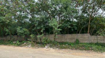 Gambar 3 Dijual Tanah Di Cikupa- Tangerang Ex Pt. Starwin( Zona Industri)