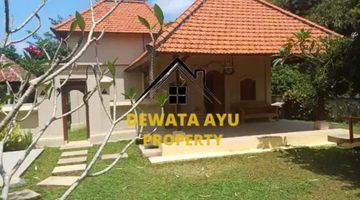 Gambar 1 Villa Cantik Taman Luas View Sawah 3 Kamar Furnished Di Kemenuh