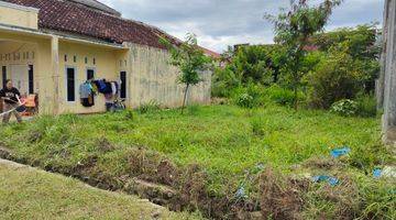 Gambar 2 Dijual Tanah Kavling Siap Bangun Dekat Kampus Polinela Unila