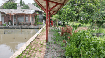 Gambar 2 Tanah SHM Akses Jalan Lebar di Kota Bogor