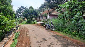 Gambar 4 Tanah Kebon Durian Produktif Di Talun Pekalongan