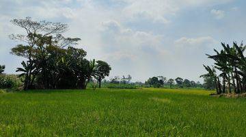 Gambar 2 Dijual Tanah Purwosari Pasuruan Sukodermo Lokasi Bagus Cck Utk Industri