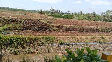 Gambar 1 Tanah Siap Bangun Ngajum Lokasi Gunung Kawi Kabupaten Malang