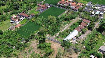 Gambar 2 Tanah Murah Dekat Ubud