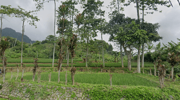 Gambar 2 Tanah Disamping Jalan Strategis Sukamakmur Bogor View Alam