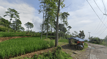 Gambar 3 Tanah Disamping Jalan Strategis Sukamakmur Bogor View Alam