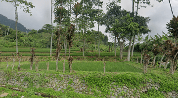 Gambar 1 Tanah Disamping Jalan Strategis Sukamakmur Bogor View Alam