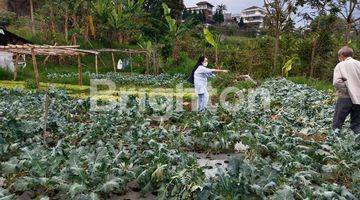 Gambar 4 TANAH MATANG DATAR - SIAP BANGUN WING I SETIABUDI REGENCY