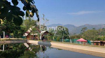 Gambar 3 VILLA WISATA  - BANDUNG LUDOLOGI GARDEN - VILLA KURMA ASTARAJA