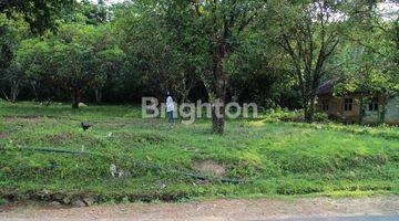 Gambar 3 TANAH  DATAR PINGGIR JALAN KAWASAN GEOPARK CILETUH KABUPATEN SUKABUMI