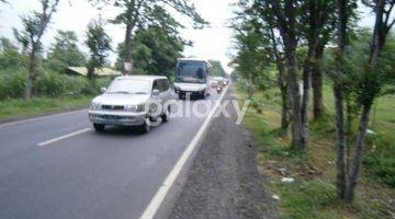 Gambar 3 Tanah Daerah Jalan Raya Probolinggo Lumajang