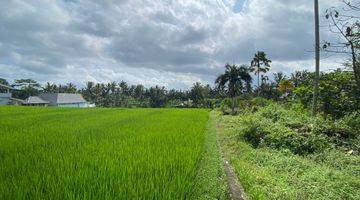 Gambar 5 Tanah Jual Lokasi Ubud