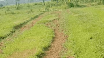 Gambar 1 Tanah Luas Cocok Buat Usaha Perkebunan Di Jonggol Bogor