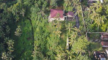 Gambar 3 Dijual Tanah 13 Are Cocok Dibangun Villa Impian di Gianyar 