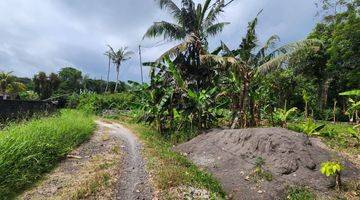 Gambar 4 Dijual Hak Sewa Tanah 8 Are Dekat Pantai di Tibubiyu, Tabanan