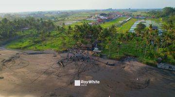 Gambar 5 Dijual Tanah SHM 82 Are Depan Pantai Seseh, Badung